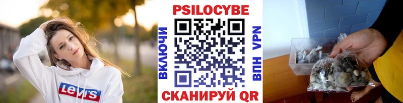 как найти закладки  Игарка  Галлюциногенные грибы Cubensis 